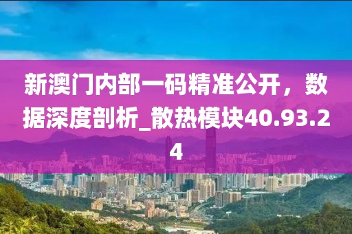 新澳门内部一码精准公开，数据深度剖析_散热模块40.93.24
