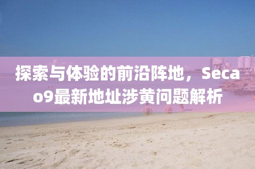 探索与体验的前沿阵地，Secao9最新地址涉黄问题解析