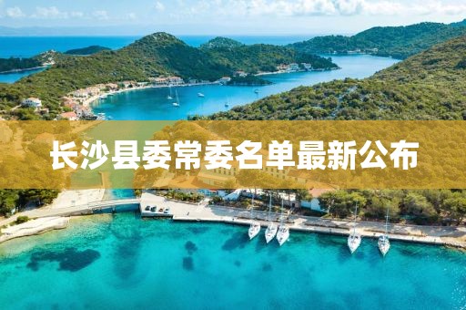 长沙县委常委名单最新公布