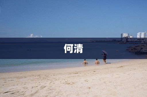 何清