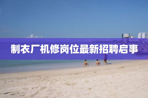 2024年12月 第16页