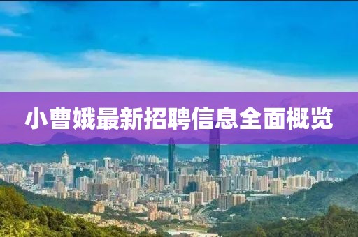 小曹娥最新招聘信息全面概览