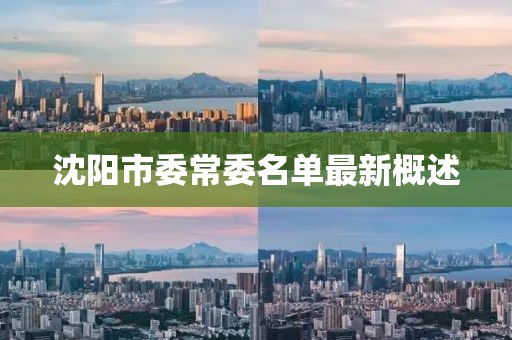 沈阳市委常委名单最新概述