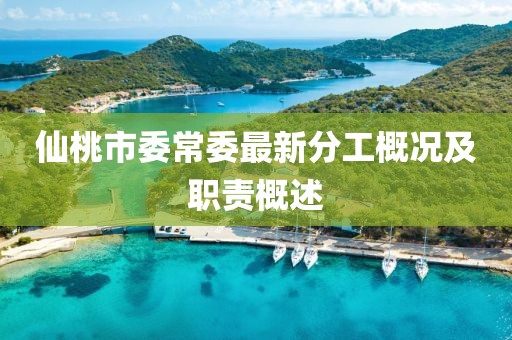 仙桃市委常委最新分工概况及职责概述