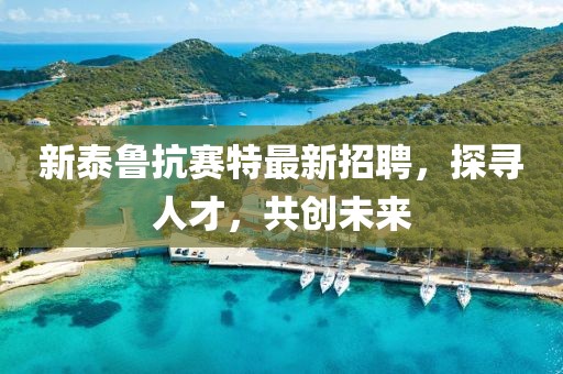 新泰鲁抗赛特最新招聘，探寻人才，共创未来