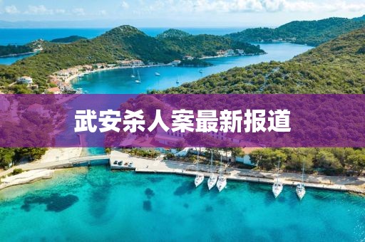 武安杀人案最新报道
