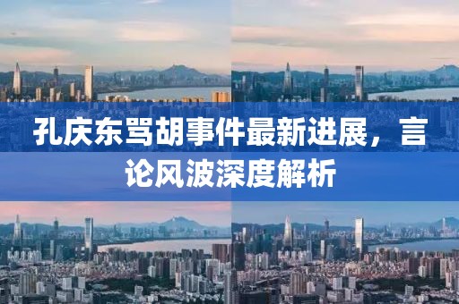 孔庆东骂胡事件最新进展，言论风波深度解析
