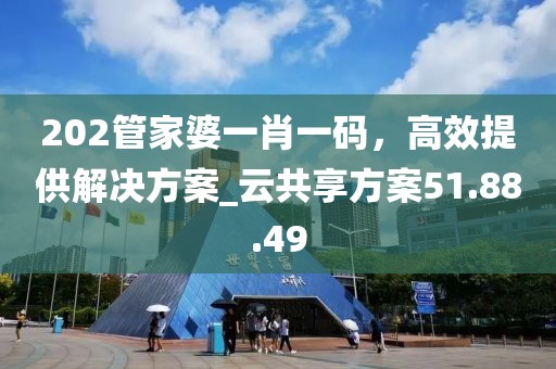 202管家婆一肖一码，高效提供解决方案_云共享方案51.88.49