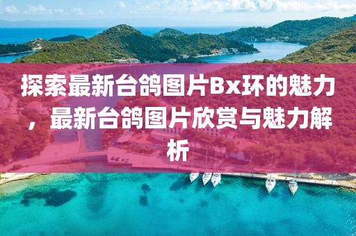 探索最新台鸽图片Bx环的魅力，最新台鸽图片欣赏与魅力解析