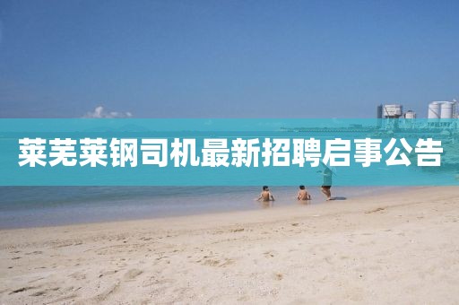 叶舞霓裳 第20页
