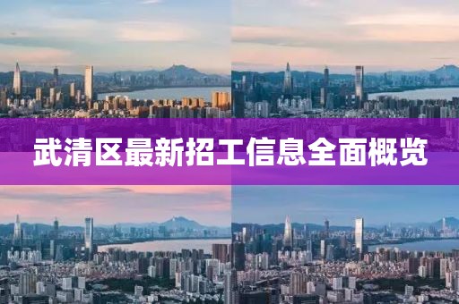 武清区最新招工信息全面概览