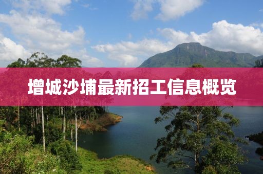增城沙埔最新招工信息概览