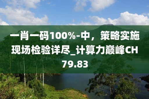一肖一码100%-中，策略实施现场检验详尽_计算力巅峰CH79.83