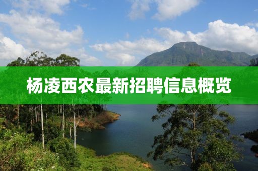 杨凌西农最新招聘信息概览