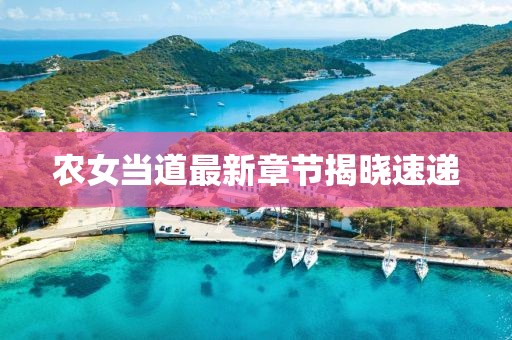 农女当道最新章节揭晓速递