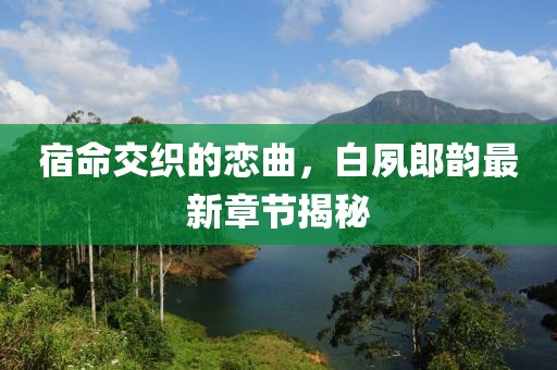 东风软 第17页