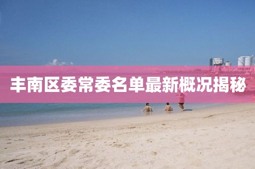 丰南区委常委名单最新概况揭秘