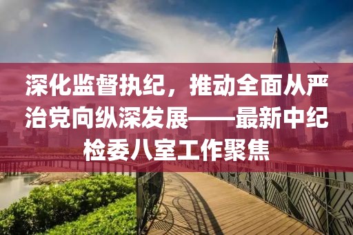 深化监督执纪，推动全面从严治党向纵深发展——最新中纪检委八室工作聚焦
