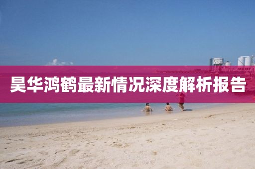 昊华鸿鹤最新情况深度解析报告