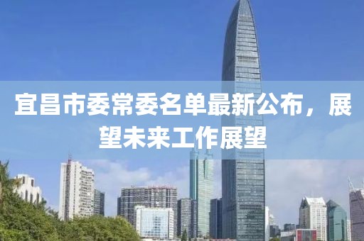宜昌市委常委名单最新公布，展望未来工作展望