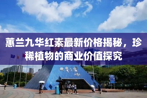 蕙兰九华红素最新价格揭秘，珍稀植物的商业价值探究