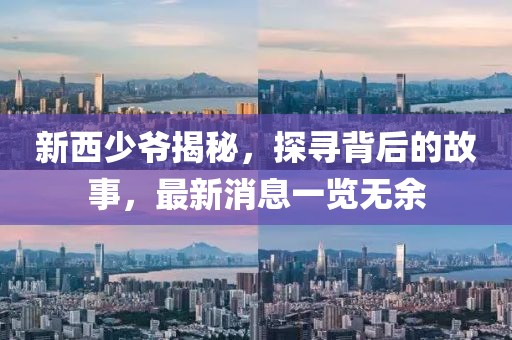 新西少爷揭秘，探寻背后的故事，最新消息一览无余