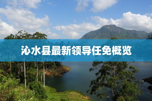 沁水县最新领导任免概览
