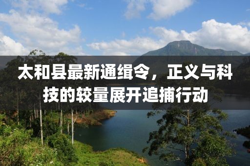 太和县最新通缉令，正义与科技的较量展开追捕行动