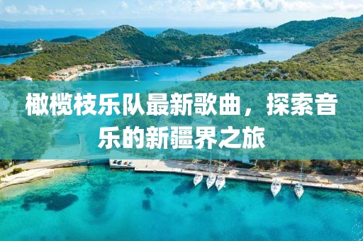 橄榄枝乐队最新歌曲，探索音乐的新疆界之旅