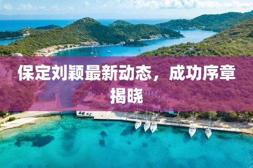 保定刘颖最新动态，成功序章揭晓