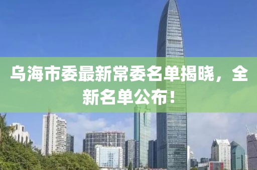 乌海市委最新常委名单揭晓，全新名单公布！