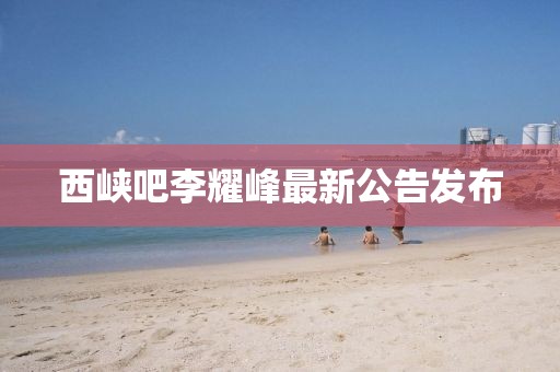 西峡吧李耀峰最新公告发布
