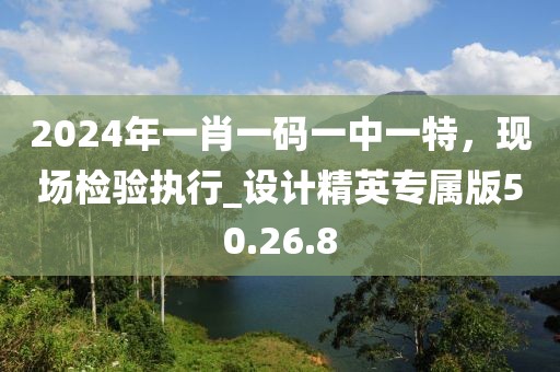 2024年一肖一码一中一特，现场检验执行_设计精英专属版50.26.8