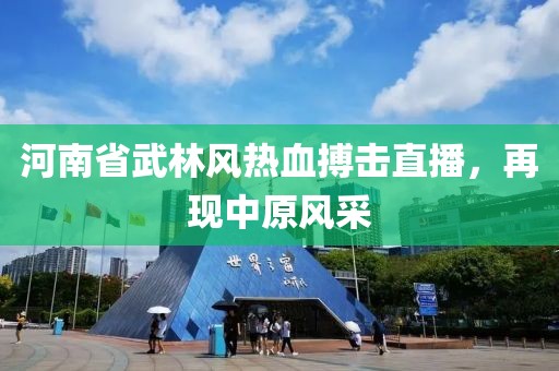 河南省武林风热血搏击直播，再现中原风采
