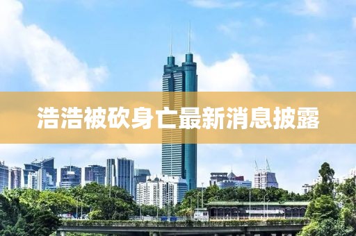 浩浩被砍身亡最新消息披露