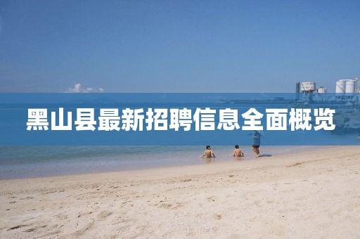 黑山县最新招聘信息全面概览