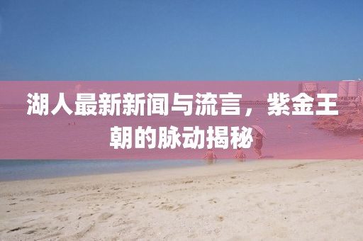湖人最新新闻与流言，紫金王朝的脉动揭秘