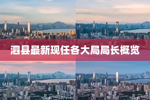 泗县最新现任各大局局长概览