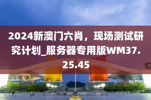2024新澳门六肖，现场测试研究计划_服务器专用版WM37.25.45