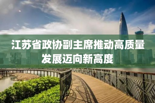 江苏省政协副主席推动高质量发展迈向新高度