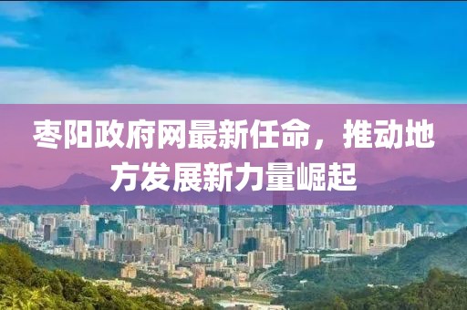 枣阳政府网最新任命，推动地方发展新力量崛起