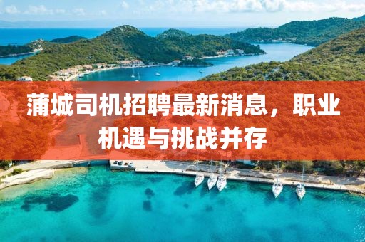 蒲城司机招聘最新消息，职业机遇与挑战并存