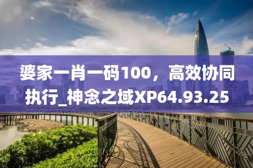 婆家一肖一码100，高效协同执行_神念之域XP64.93.25