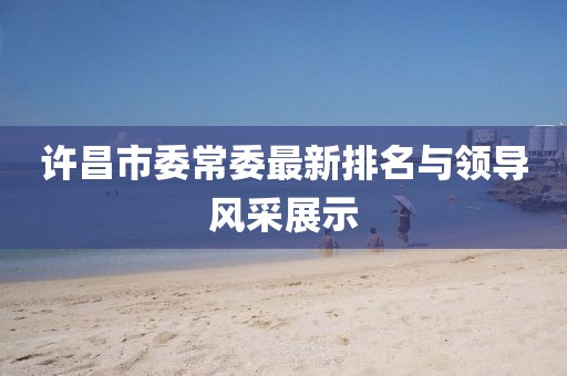 许昌市委常委最新排名与领导风采展示