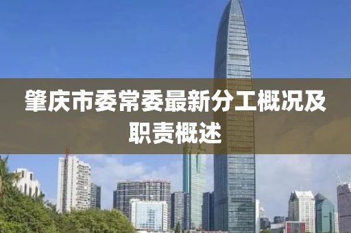肇庆市委常委最新分工概况及职责概述