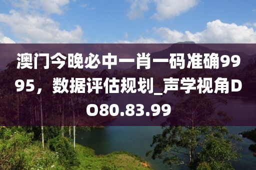 澳门今晚必中一肖一码准确9995，数据评估规划_声学视角DO80.83.99