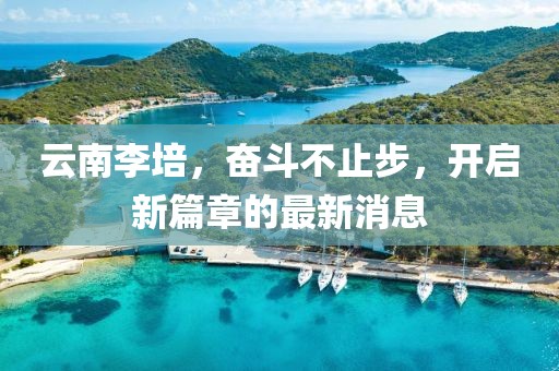 云南李培，奋斗不止步，开启新篇章的最新消息