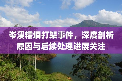 岑溪糯垌打架事件，深度剖析原因与后续处理进展关注