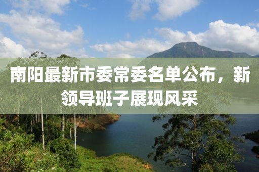 南阳最新市委常委名单公布，新领导班子展现风采