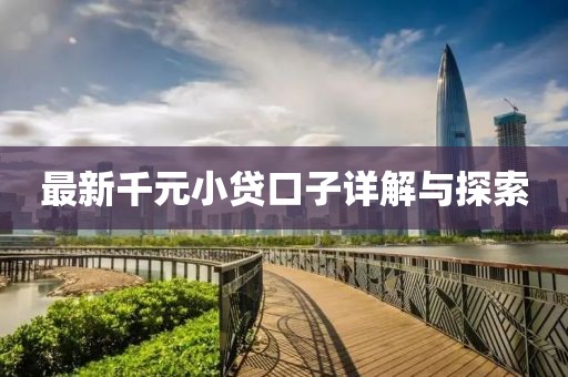 最新千元小贷口子详解与探索